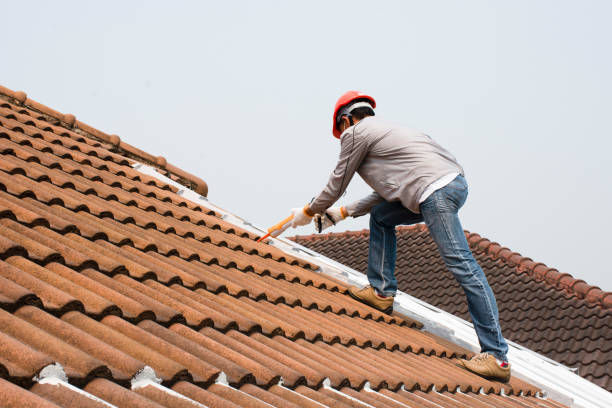 Best Roof Leak Repair  in Hoopeston, IL